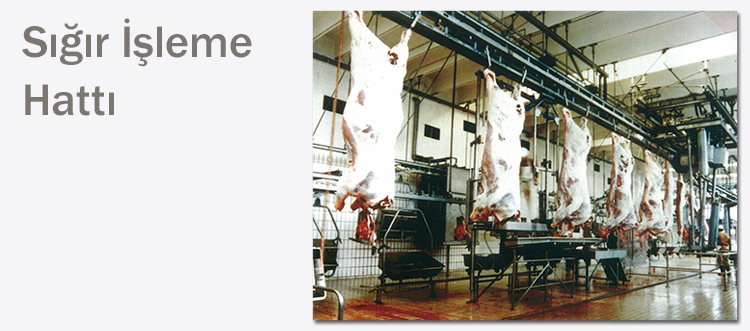 sığır işleme hattı