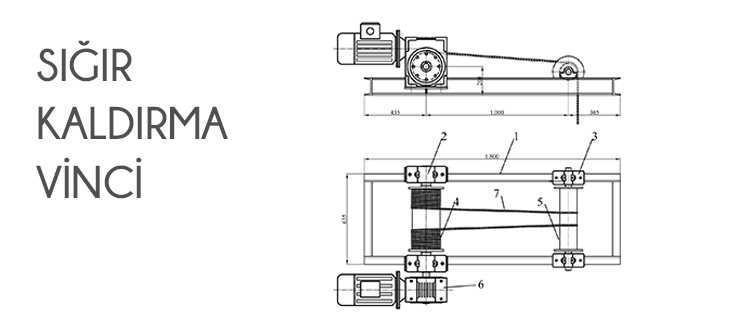 sığır kaldırma vinci
