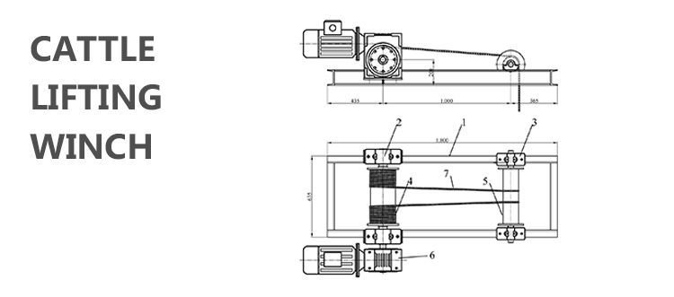 sığır kaldırma vinci